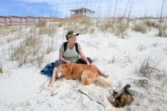 Pets are allowed on this beach.