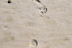 My footprints.