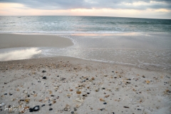 Good shells on the beach.