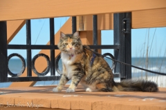 She ran to a private walk.