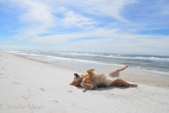 Bailey was in her element.