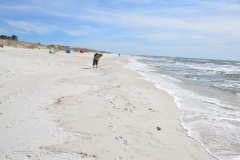 Kate was happy beachcombing.