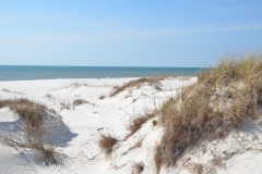 The next day I rode my bike to the end of the road.