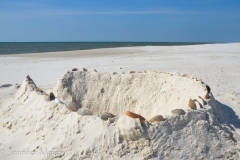 Shell decorated castle.