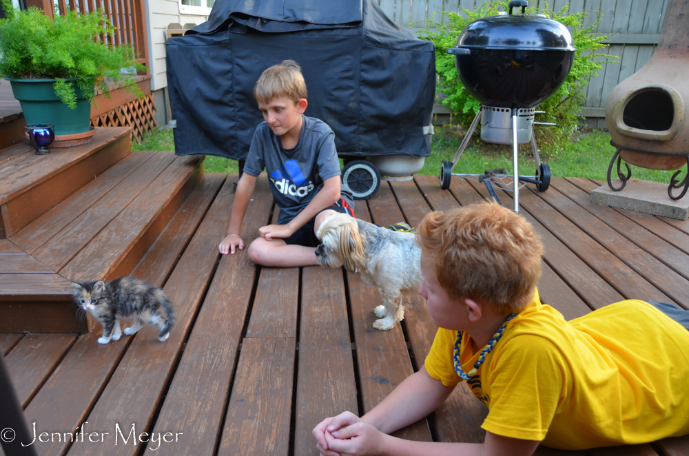 Gypsy was the object of much affection.