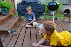 Gypsy was the object of much affection.