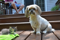 The were soon good friends.