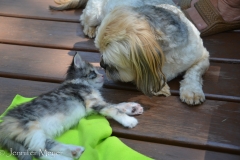 A little wake-up kiss.