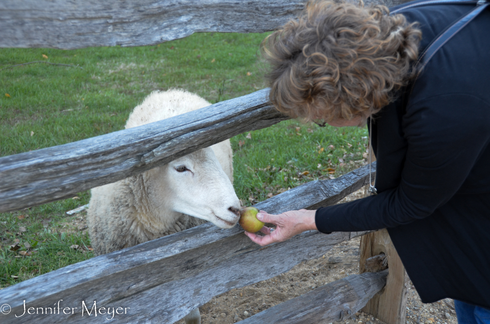 Kate feeds one an apple.