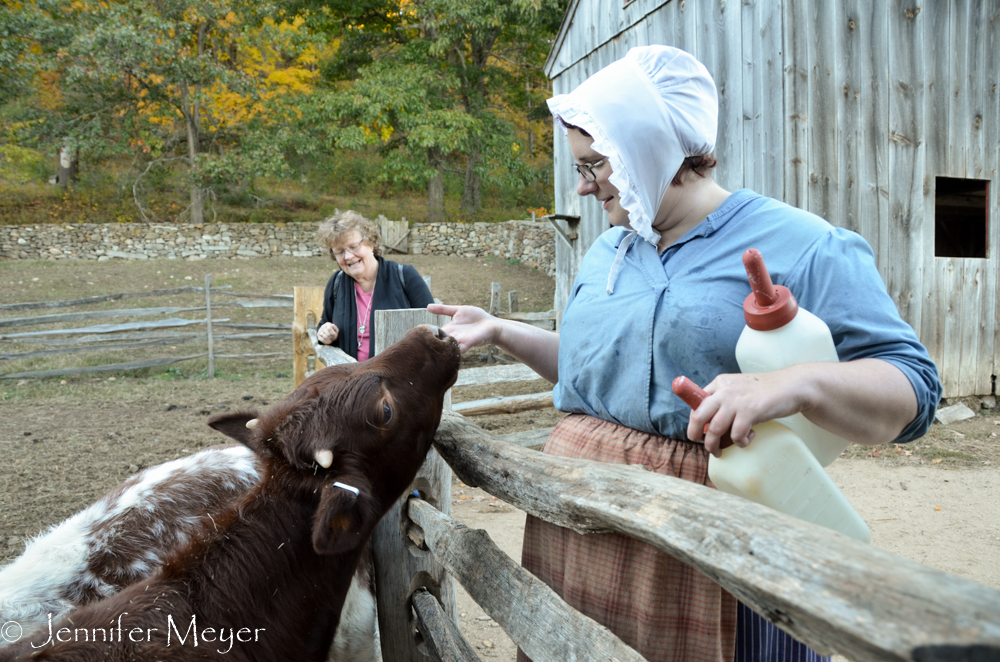 This woman was feeding bottles of milk to the calves.