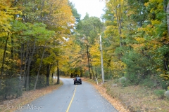 Our GPS took us down a dead end road and we had to disconnect and go back.