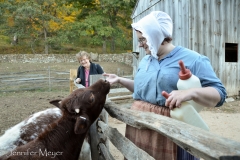 This woman was feeding bottles of milk to the calves.