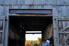 Chickens in the barn.