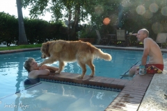 Bailey was a little worried about us in the pool.