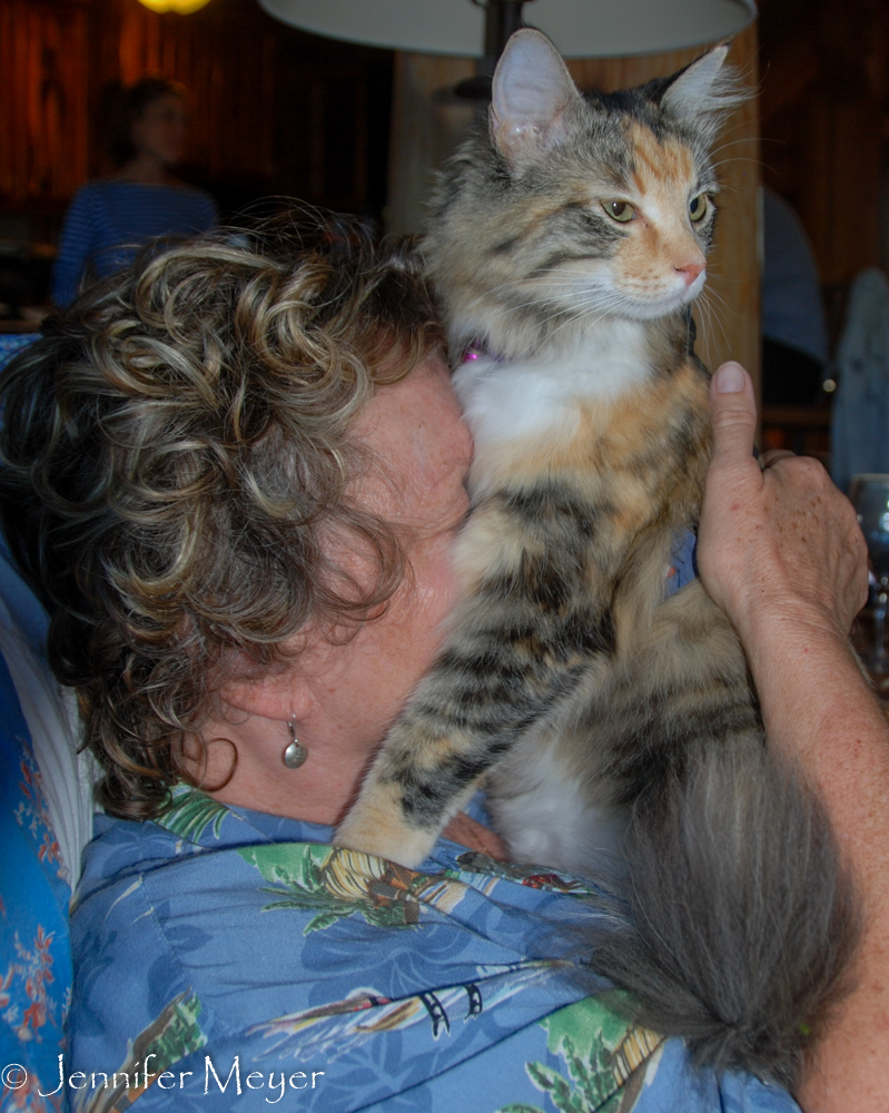 Gypsy saves her love for Kate.