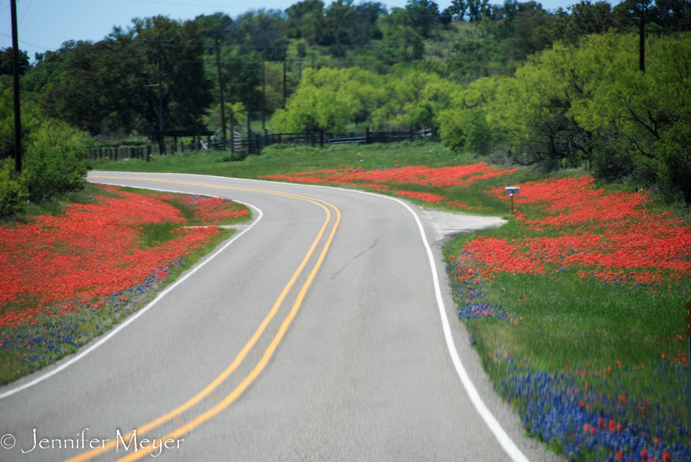 On Sunday, we too a wildflower drive.