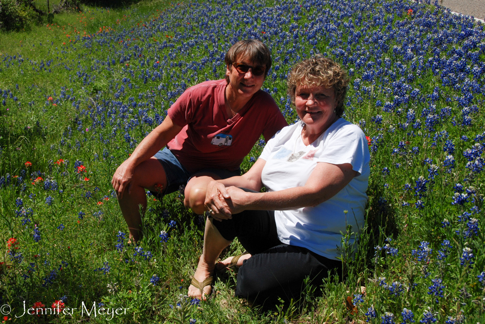 Wildflowers are all over Hill Country this time of year.
