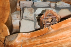 Gypsy makes herself at home, exploring the rafters.