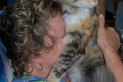 Gypsy saves her love for Kate.