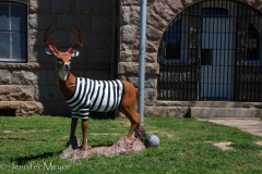 Convict deer in front of the jail.