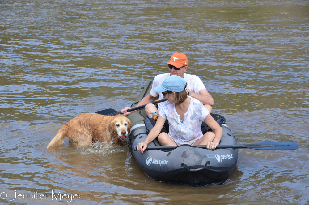 Bailey got some swimming in.