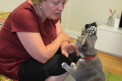 But Kate refused to be intimated, which fascinated Josie.