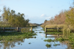 There are miles and miles of swamp "backroads."