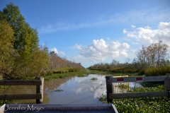 In an air boat, you can get into areas other boats can't go.