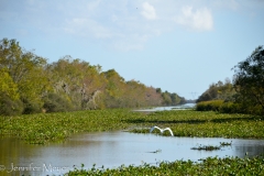 It doesn't matter if there's vegetation in the water.