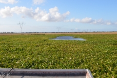 You just glide right over it, like in a hover craft.