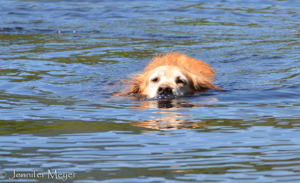 Happy swimmer.