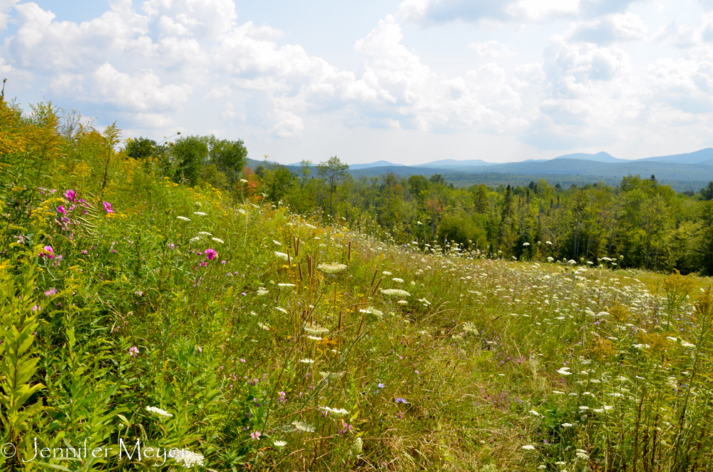 A scenic view of the Andirondacks.