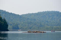 Lots of boaters out on a beautiful morning.