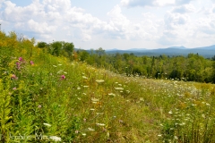 A scenic view of the Andirondacks.