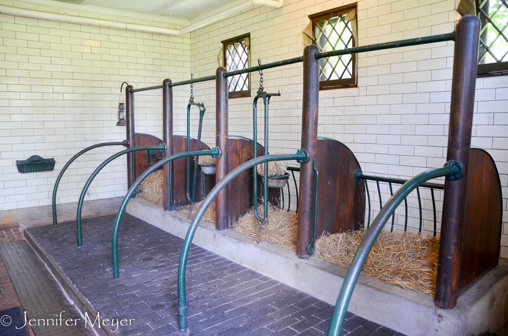 Beautiful accomodations for horses.