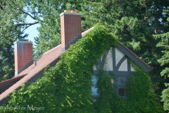 The last family gardener lived here for over 80 years.