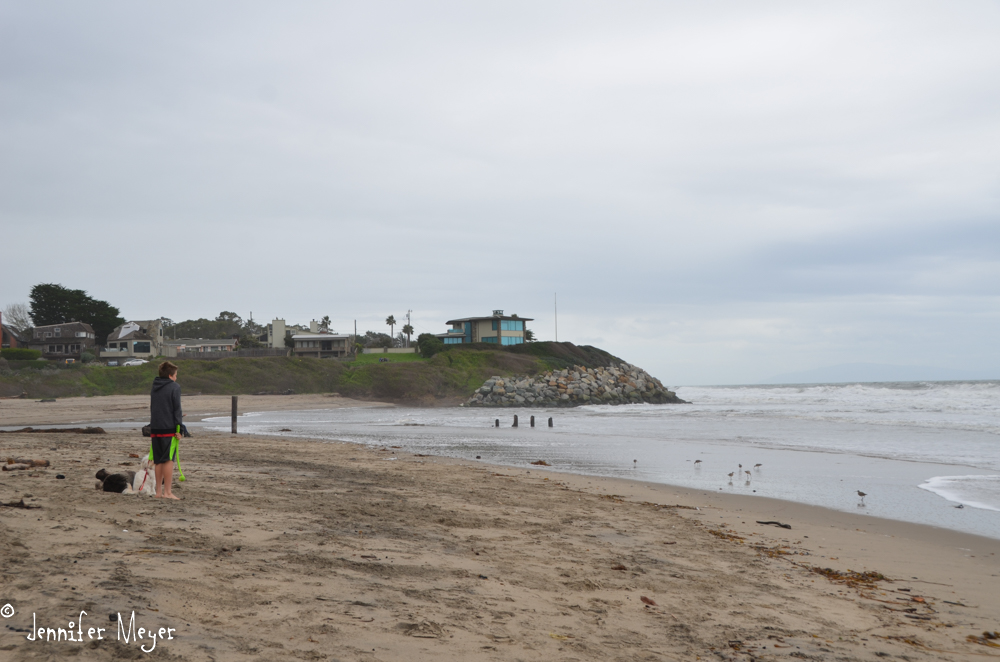 Bodi and I walked Buddy down to the beach.