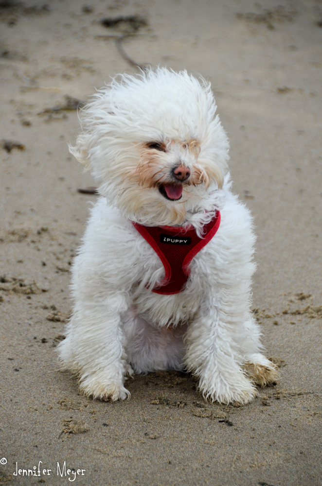 It was really windy.