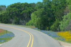 We left Hill Country in a blaze of color.