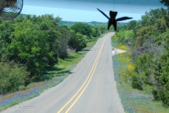 Our winged cat flies over the view.