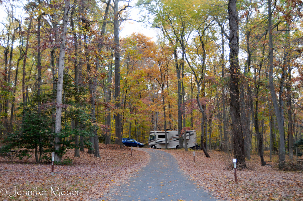 Another near-empty campground.