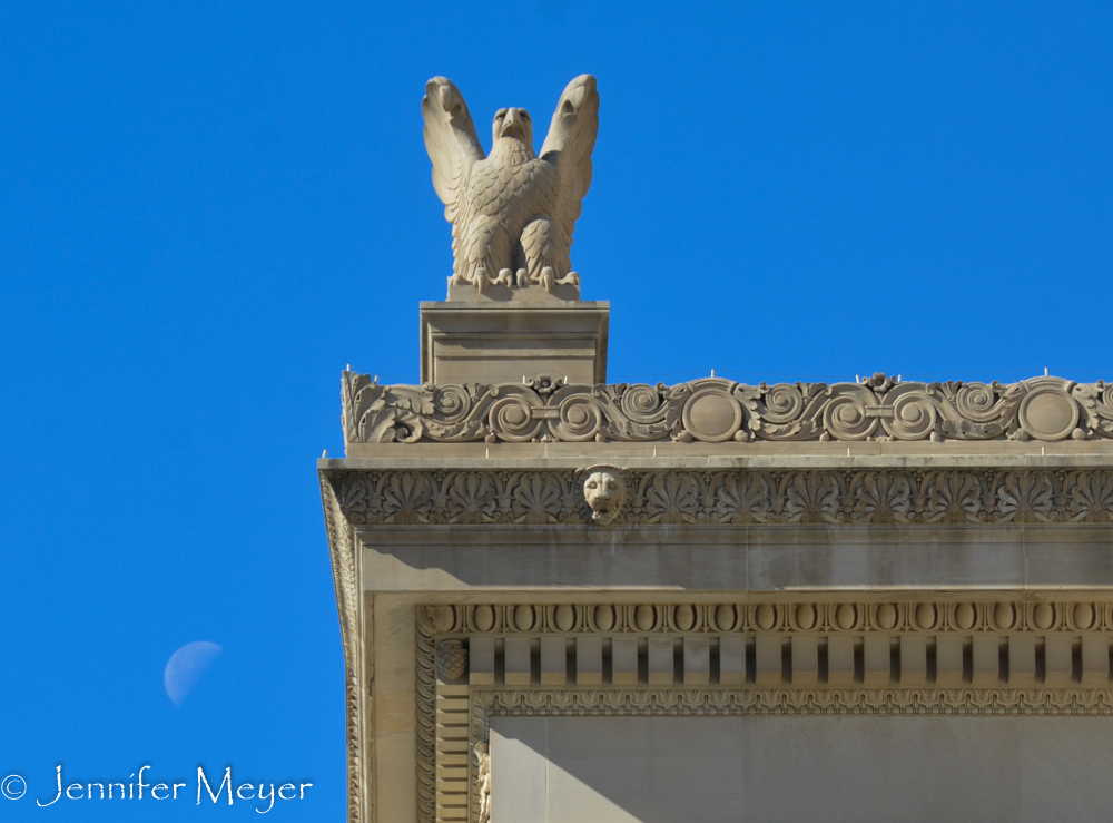 Eagle and the moon.