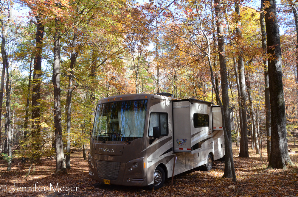 Back to Bessie for the night.