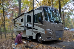 The fur kids approved.