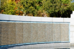 Bronze stars reflected.