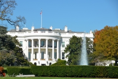 There it is, in all its splendor!