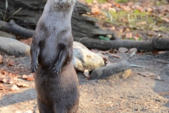 This guy wanted to be in charge.