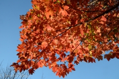 Such a beautiful day in the city!