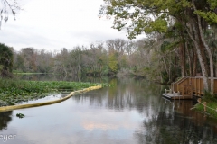 The spring connects to Wekiwa River.