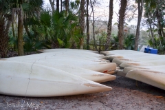 Lots of canoes for rent.